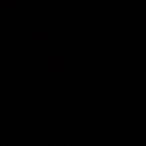 Meet your Posher, Arely